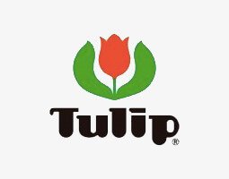 Tulip