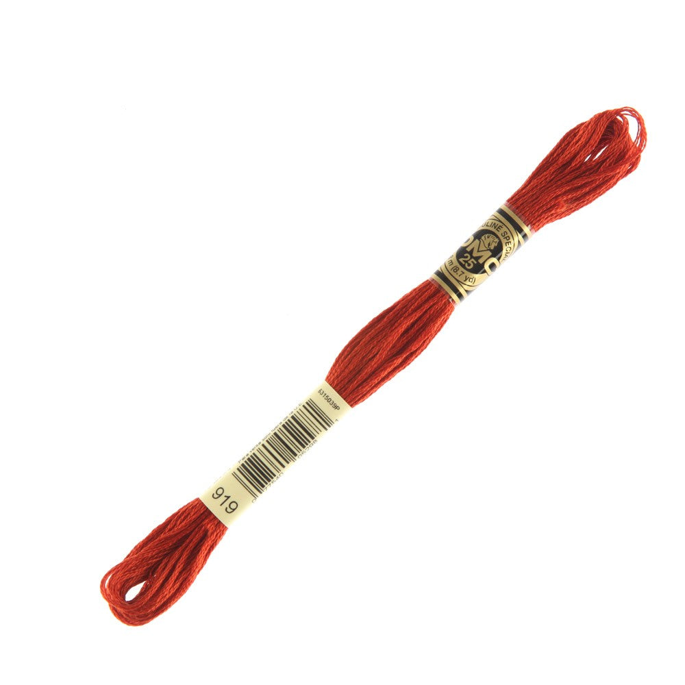 DMC Mouline Special 8 m Embroidery Thread - 919