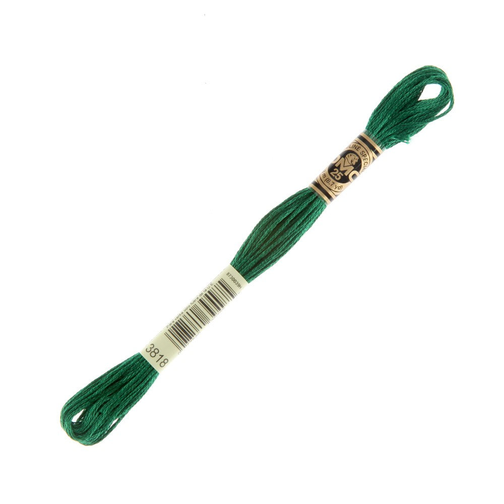 DMC Mouline Special 8 m Embroidery Thread - 3818