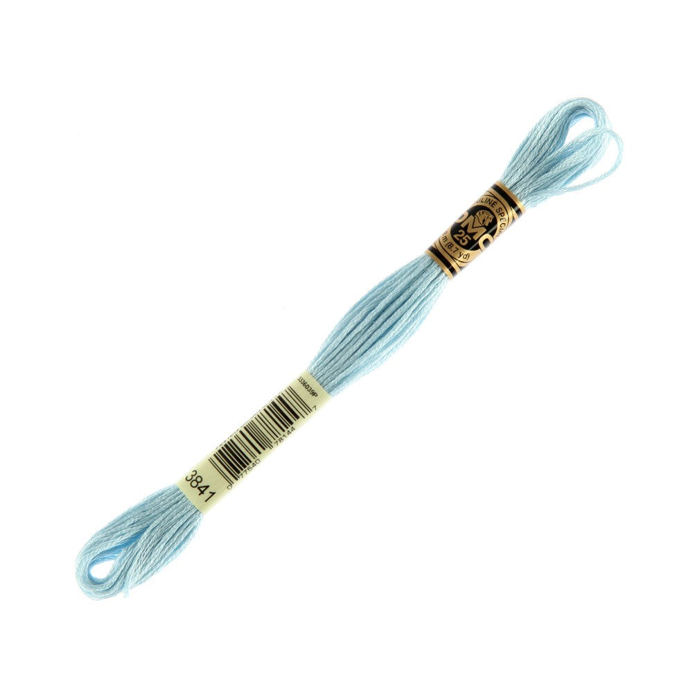 DMC Mouline Special 8 m Embroidery Thread - 3841