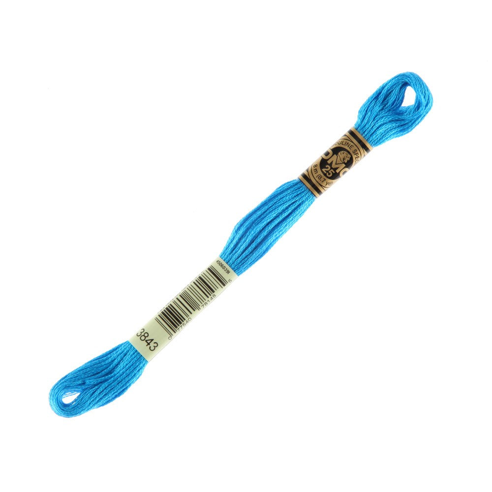 DMC Mouline Special 8 m Embroidery Thread - 3843