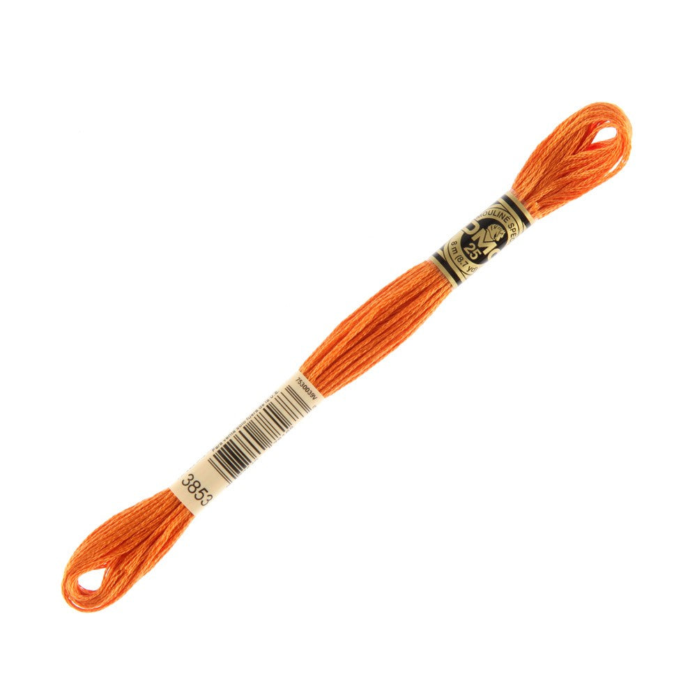 DMC Mouline Special 8 m Embroidery Thread - 3853