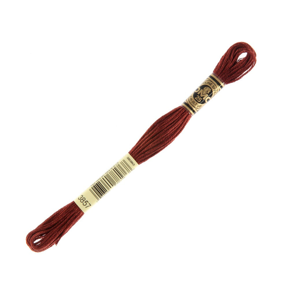 DMC Mouline Special 8 m Embroidery Thread - 3857