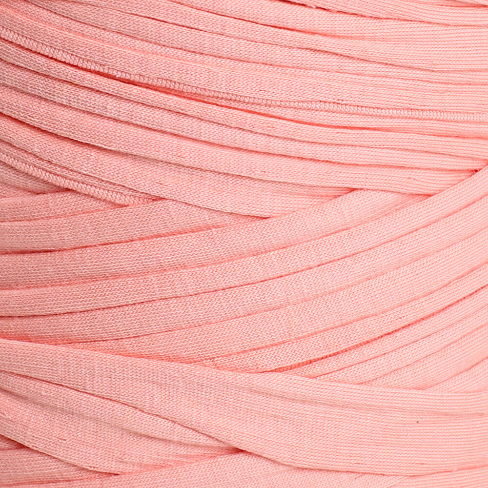 Loren T-Shirt Yarn, Pup - 66