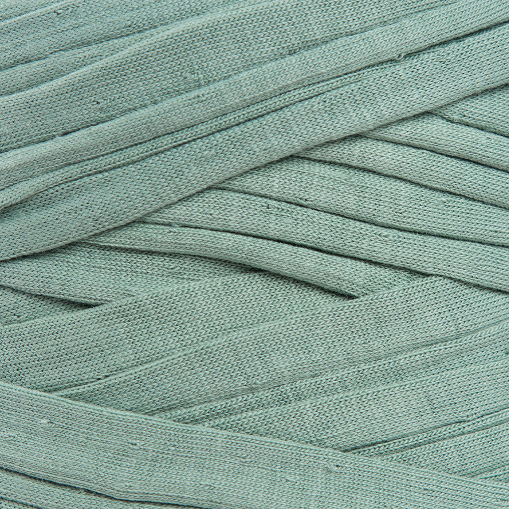 Loren T-Shirt Yarn, Green - 60