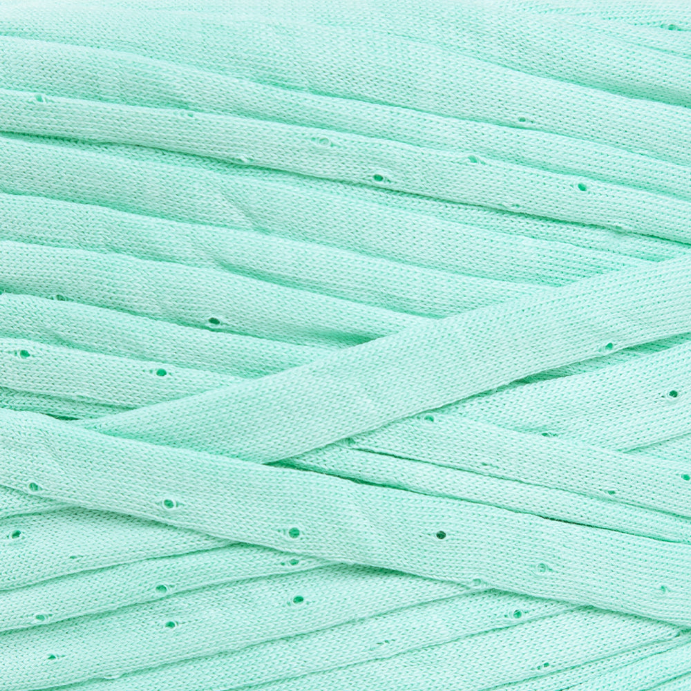 Loren T-shirt Yarn, Mint - 8