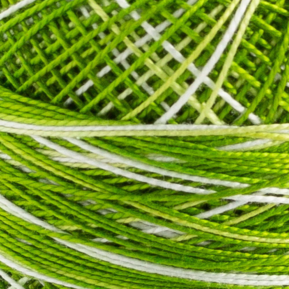 Domino Cotton Perle Size 12 Embroidery Thread (5 g), Variegated - 4590012-K0159