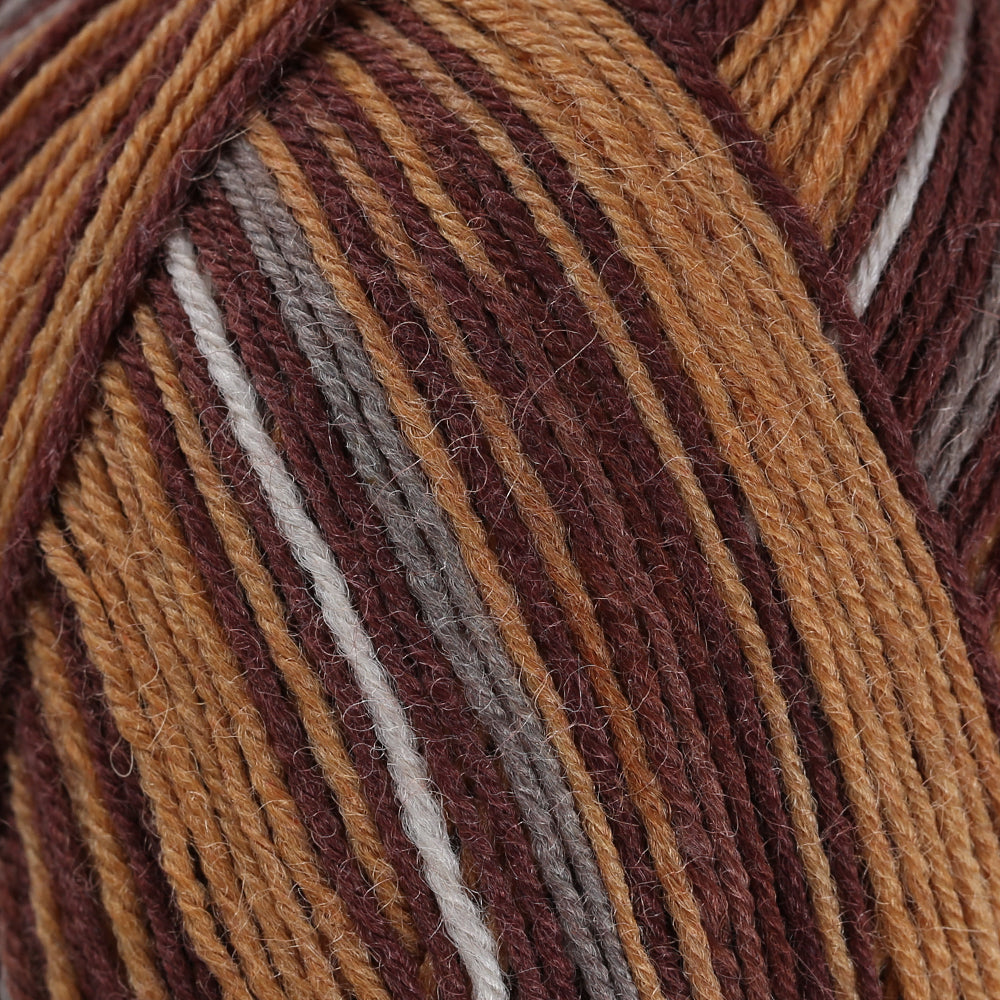 La Mia Woolly Socks Variegated Sock Yarn - L09