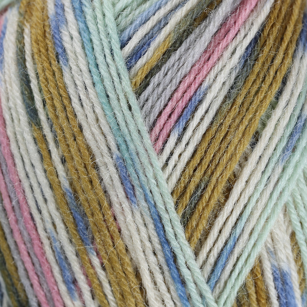 La Mia Woolly Socks Variegated Sock Yarn - L11