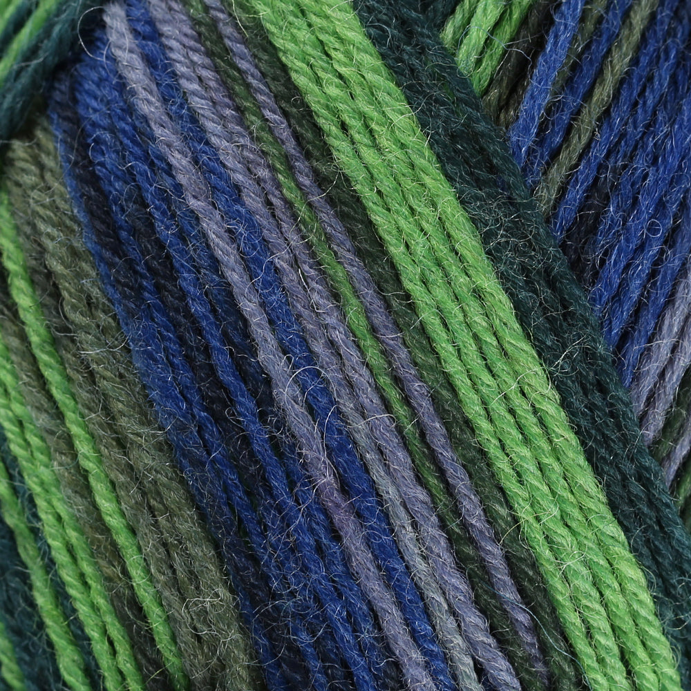 La Mia Woolly Socks Variegated Sock Yarn - L12