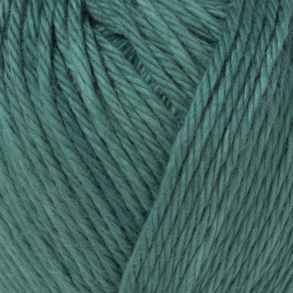 La Mia Pastel 100% Cotton Yarn, Green Black - L055
