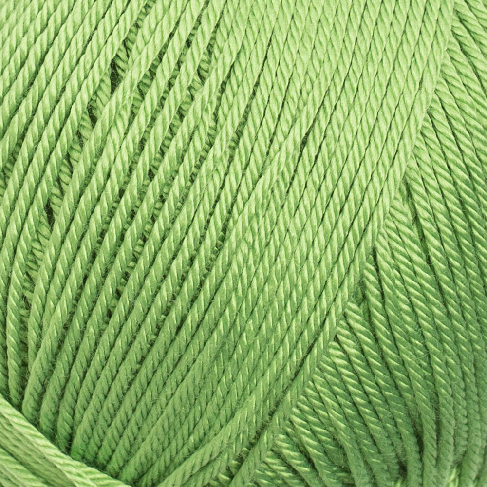 La Mia Silky Yarn, Green - L025