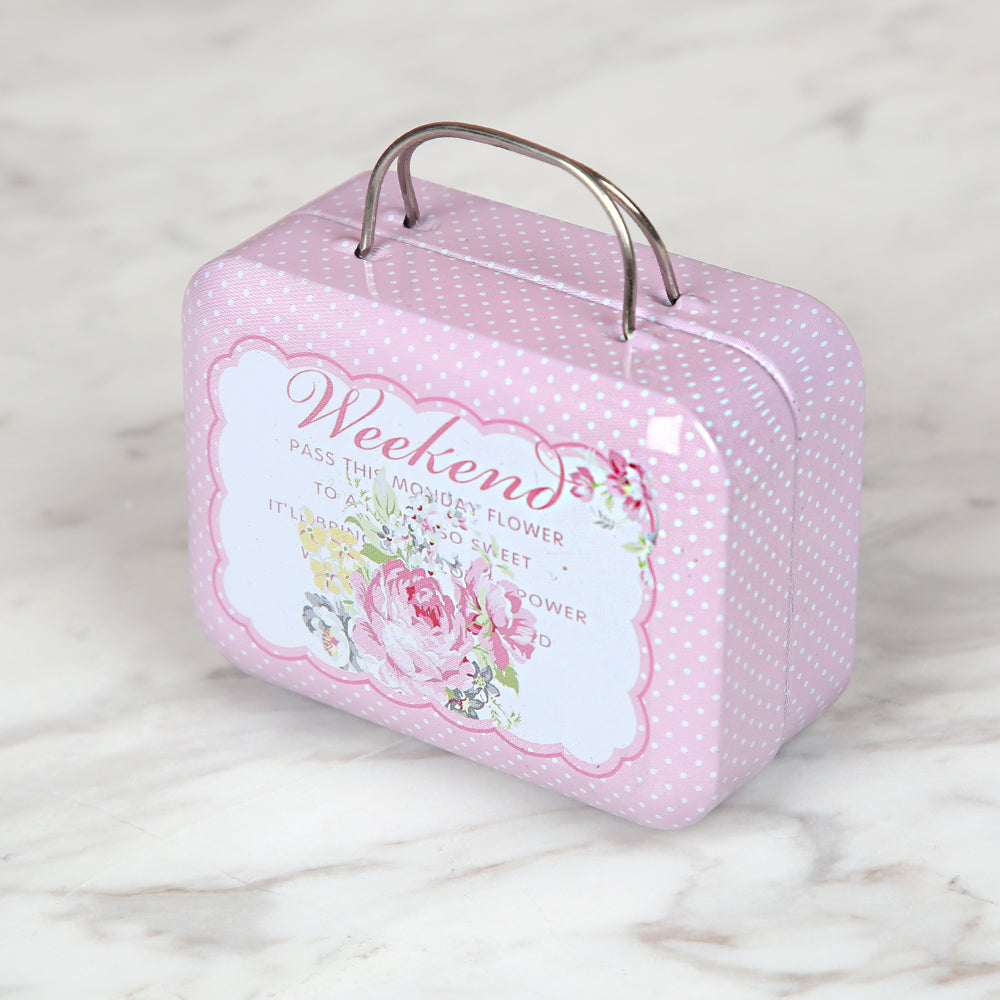 Nas Metal Storage Box Bag - Pink