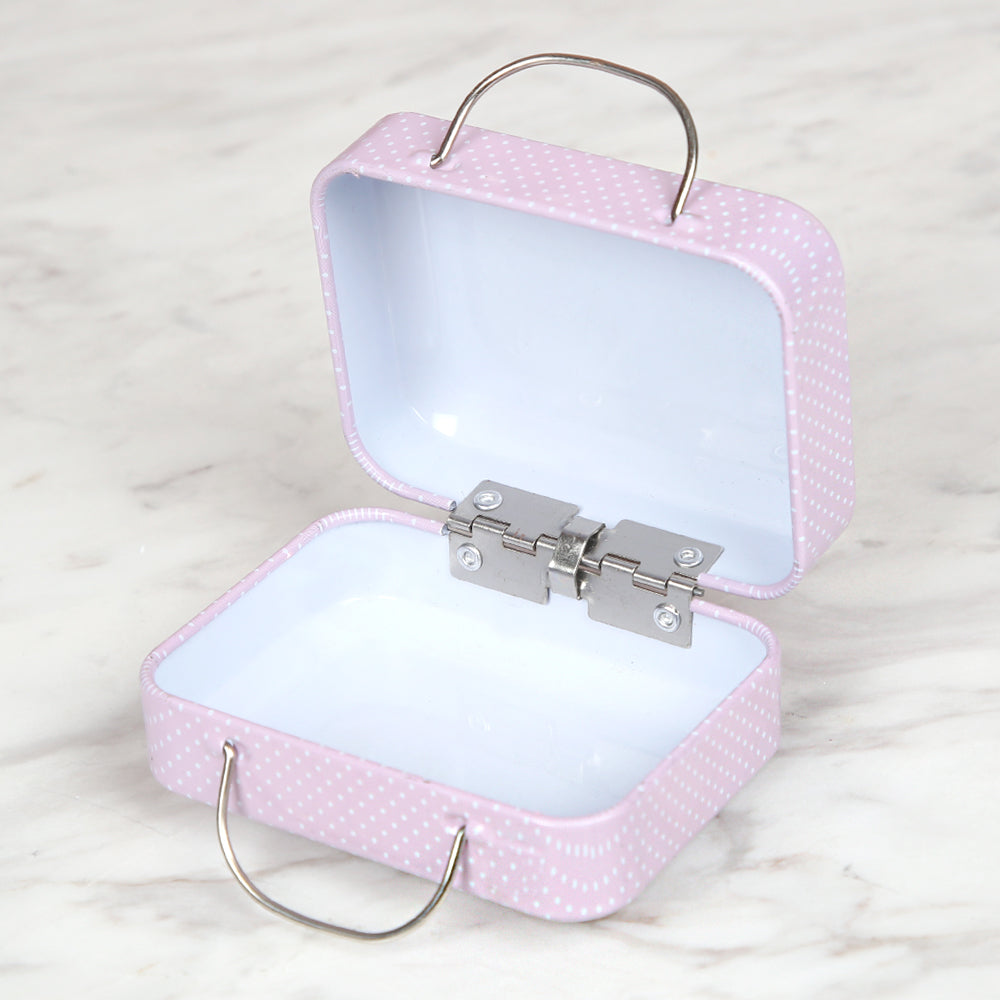Nas Metal Storage Box Bag - Pink