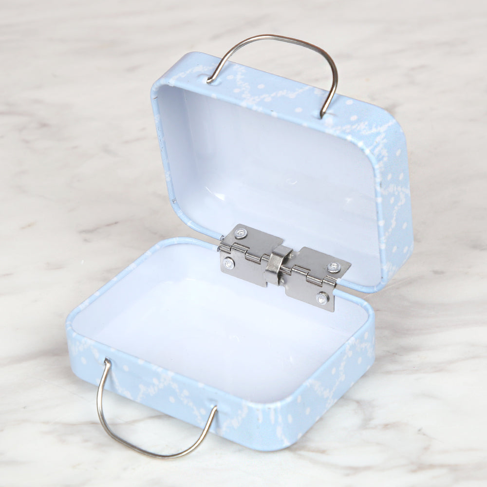 Nas Metal Storage Box Bag - Blue