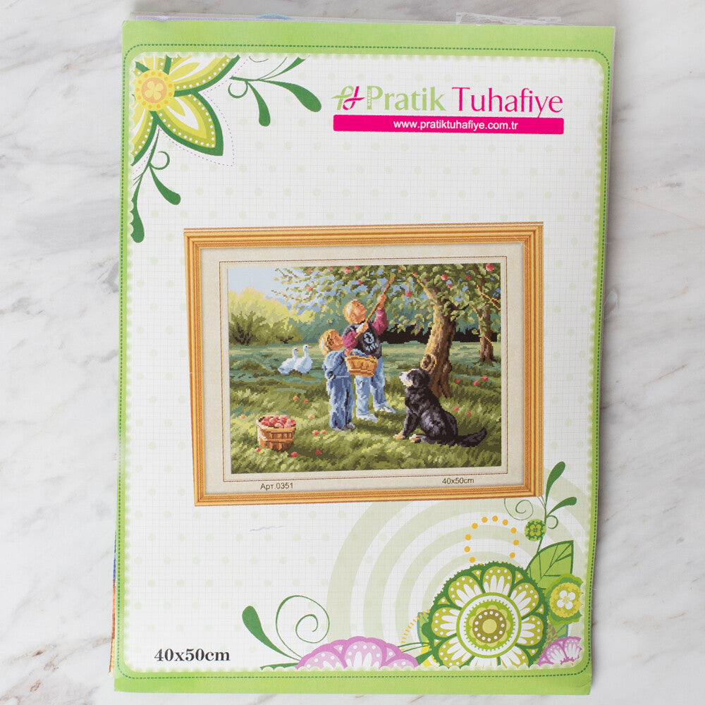 DIY Handmade Embroidery Set 40x50 cm - 0351