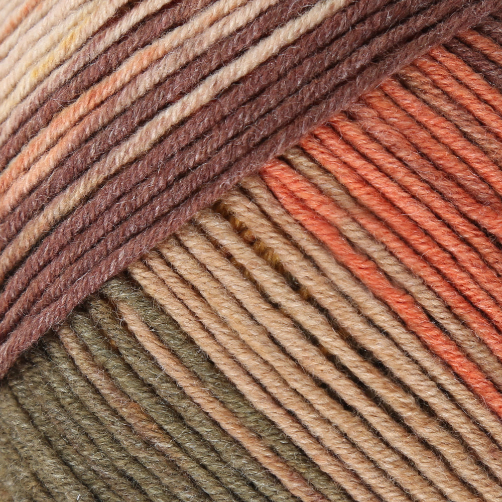 La Mia Tale Hand Knitting Yarn Variegated - LM076