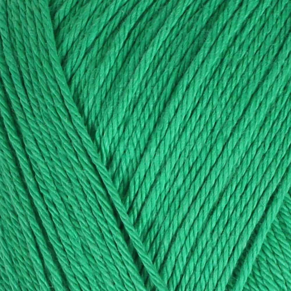 Gazzal Giza Matte Yarn, Green - 5560