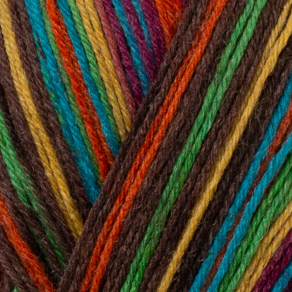 Himalaya Socks Yarn, Variegated - 140-01