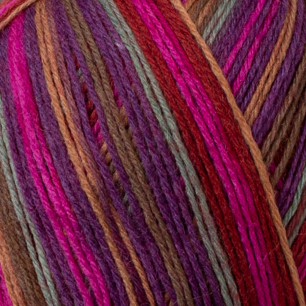 Himalaya Socks Yarn, Variegated - 150-04