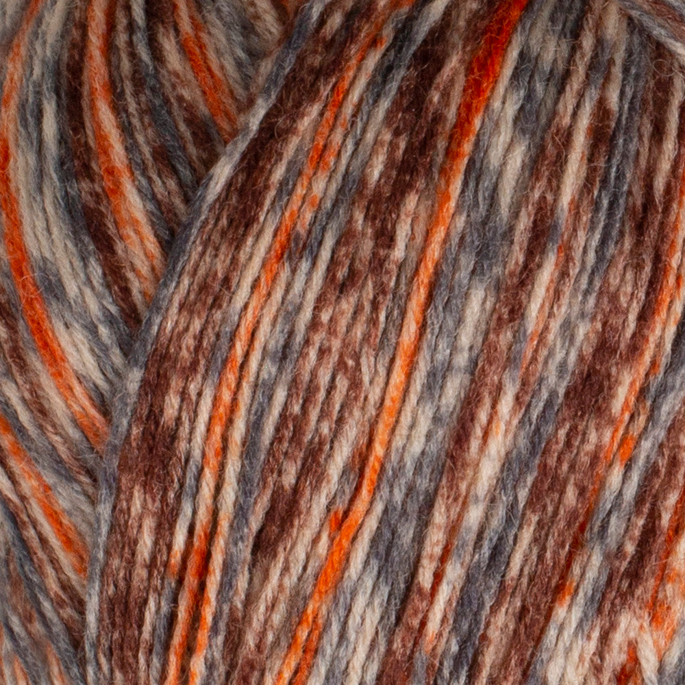 Himalaya Socks Yarn, Variegated - 160-03