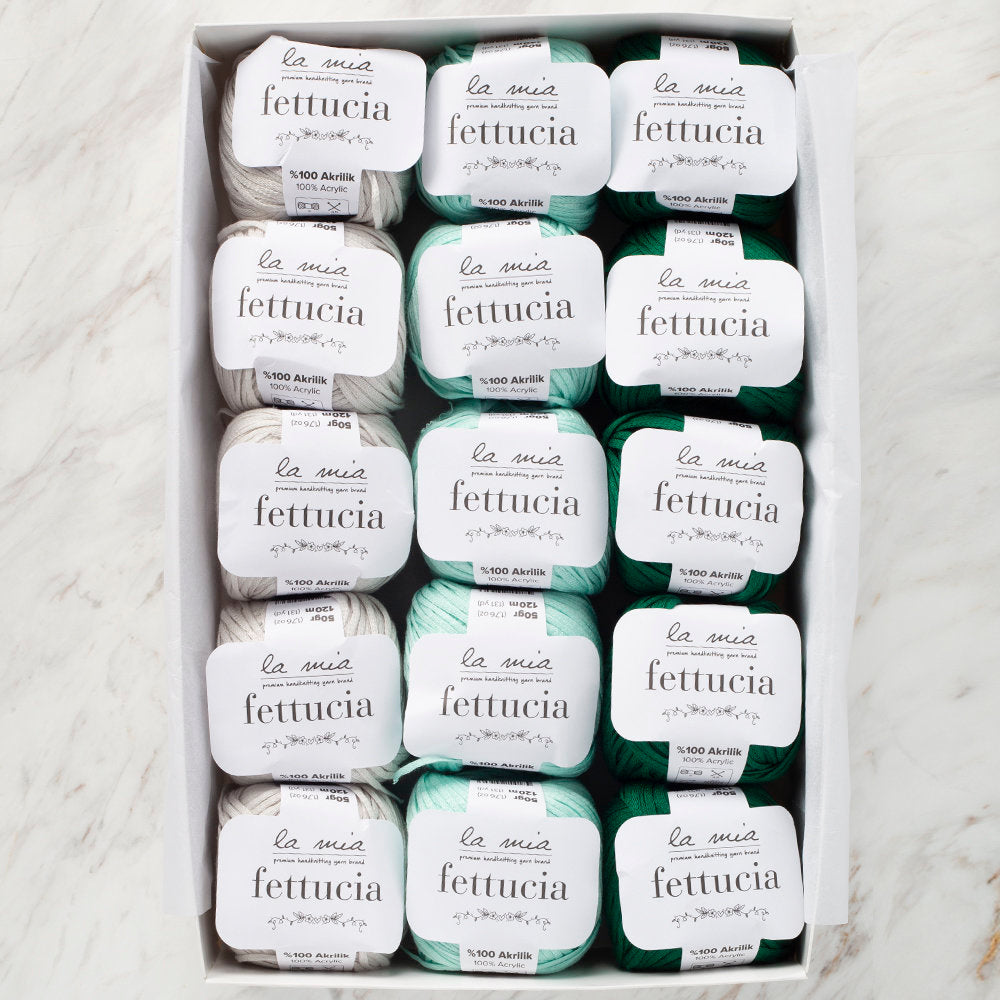 La Mia Fettucia Yarn Gift Set, Cactus