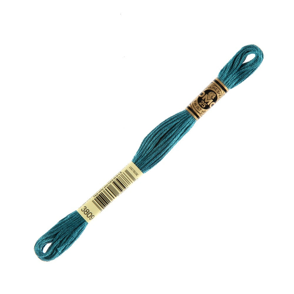 DMC Mouline Special 8 m Embroidery Thread - 3809