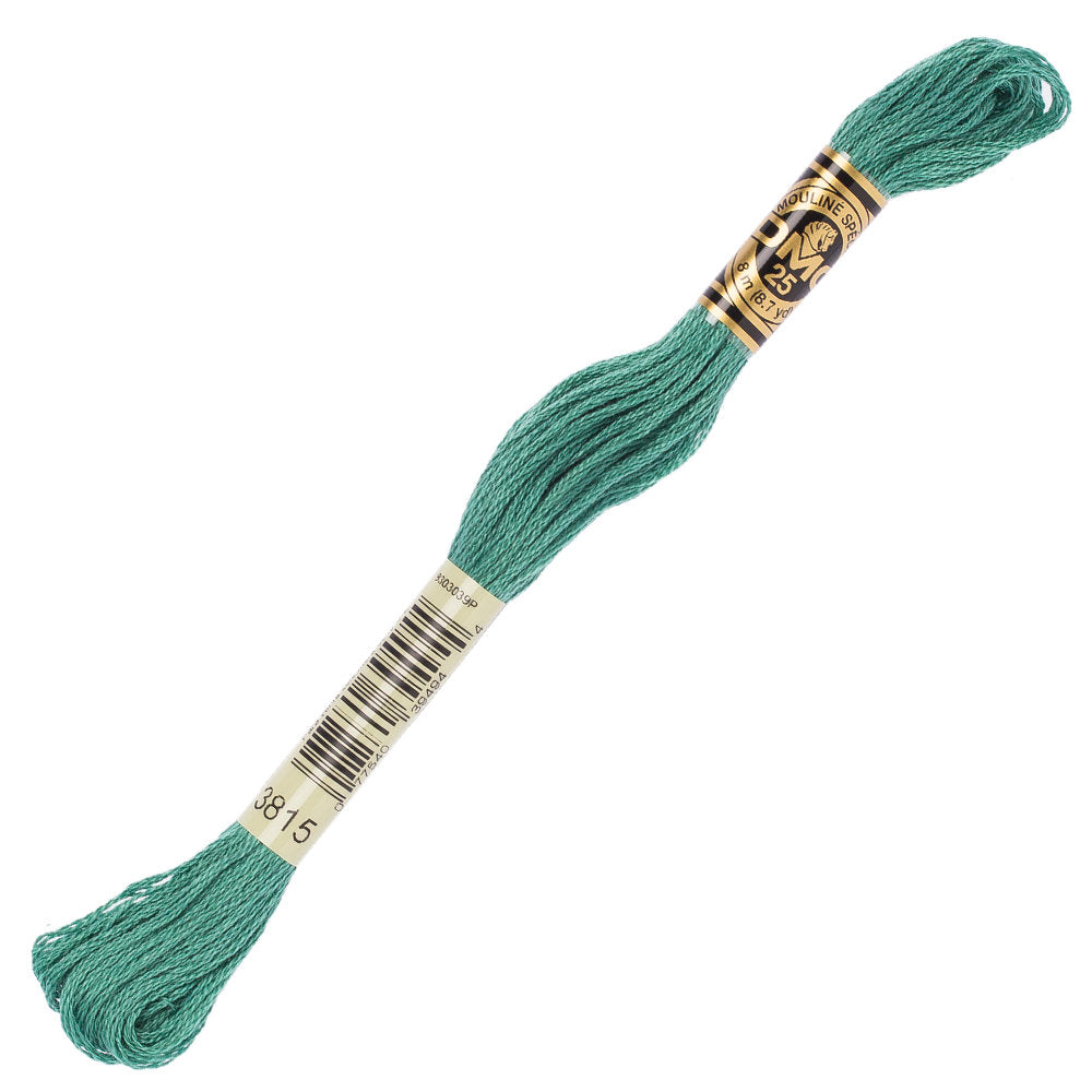 DMC Mouline Special 8 m Embroidery Thread, Green - 3815