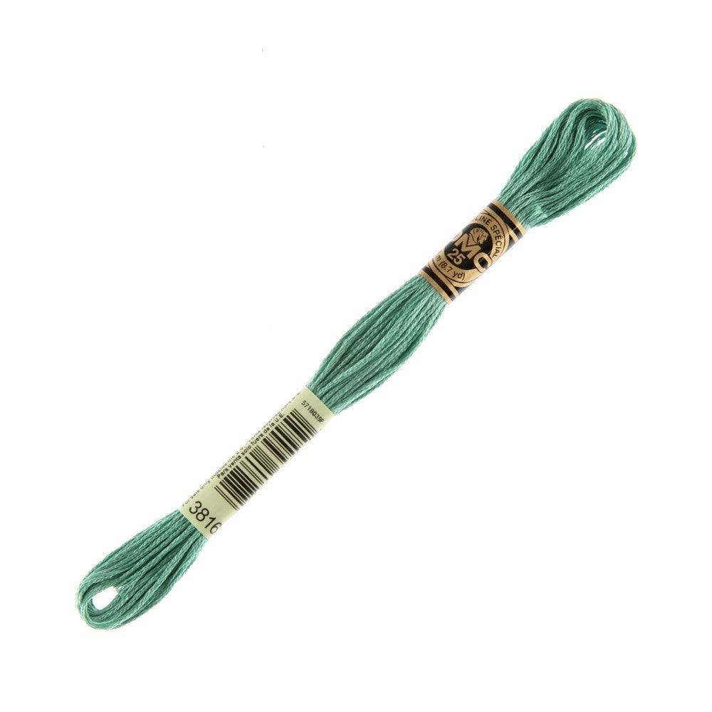 DMC Mouline Special 8 m Embroidery Thread - 3816
