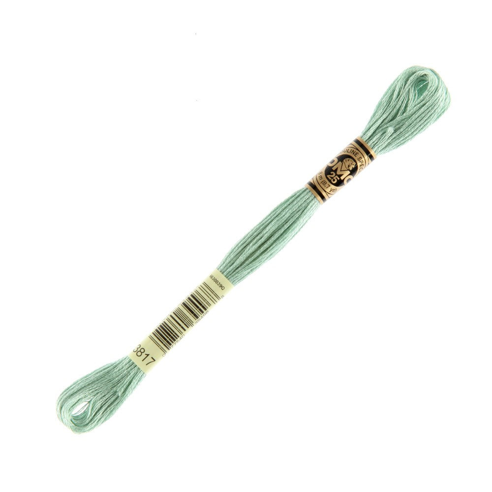 DMC Mouline Special 8 m Embroidery Thread - 3817