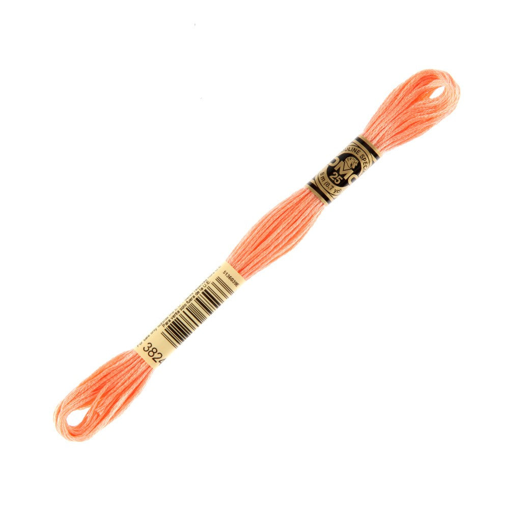 DMC Mouline Special 8 m Embroidery Thread - 3824