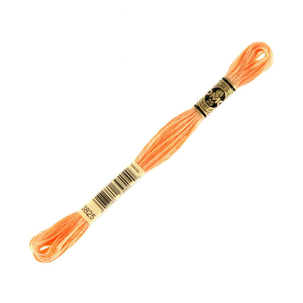 DMC Mouline Special 8 m Embroidery Thread - 3825