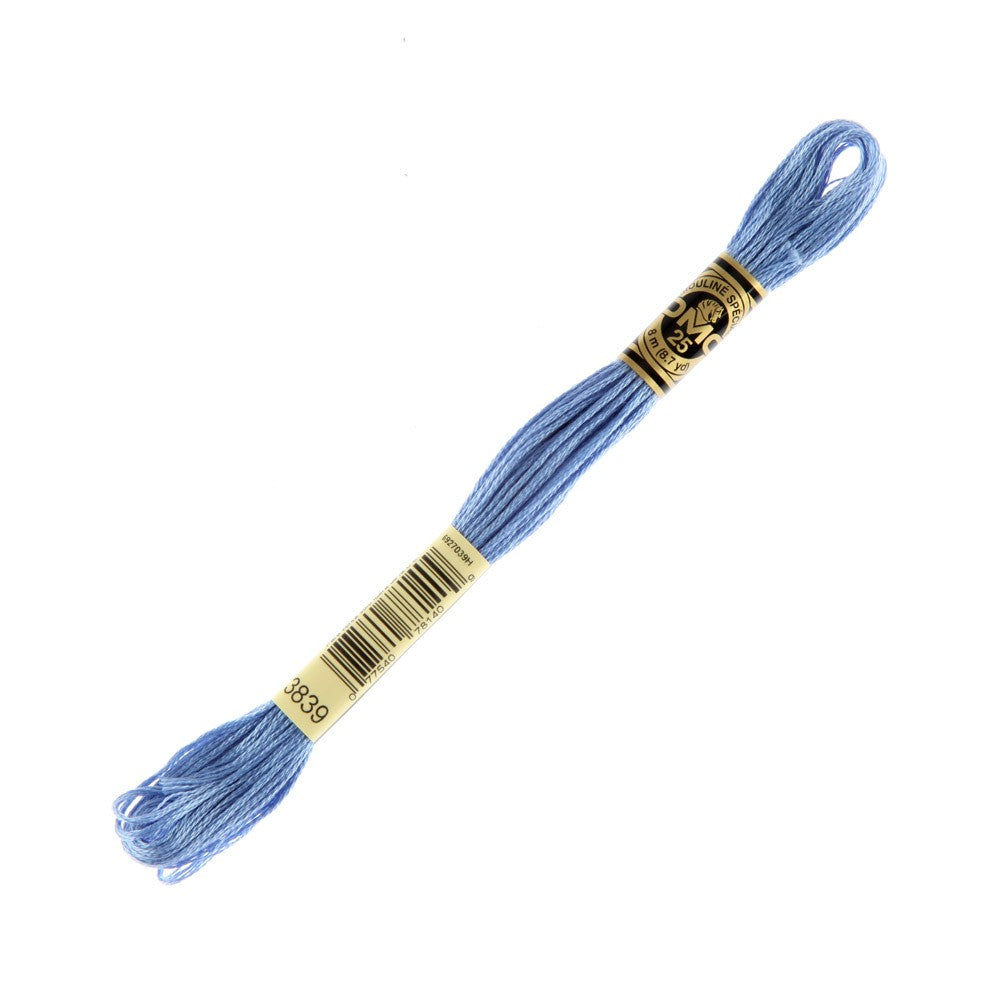 DMC Mouline Special 8 m Embroidery Thread - 3839