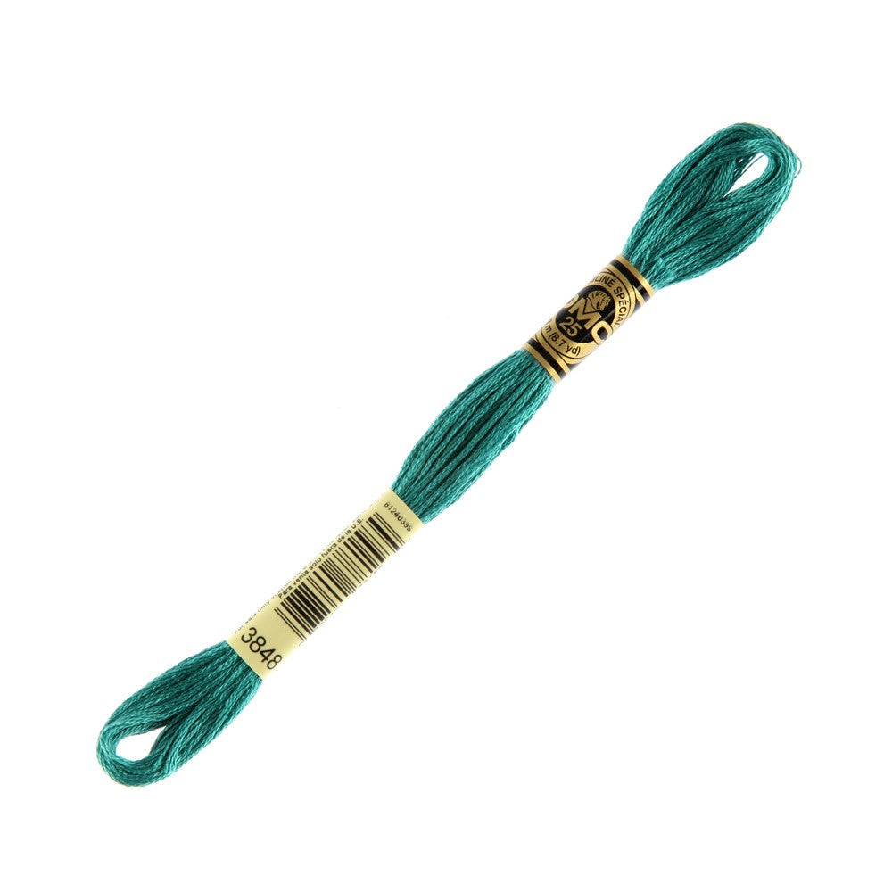 DMC Mouline Special 8 m Embroidery Thread - 3848