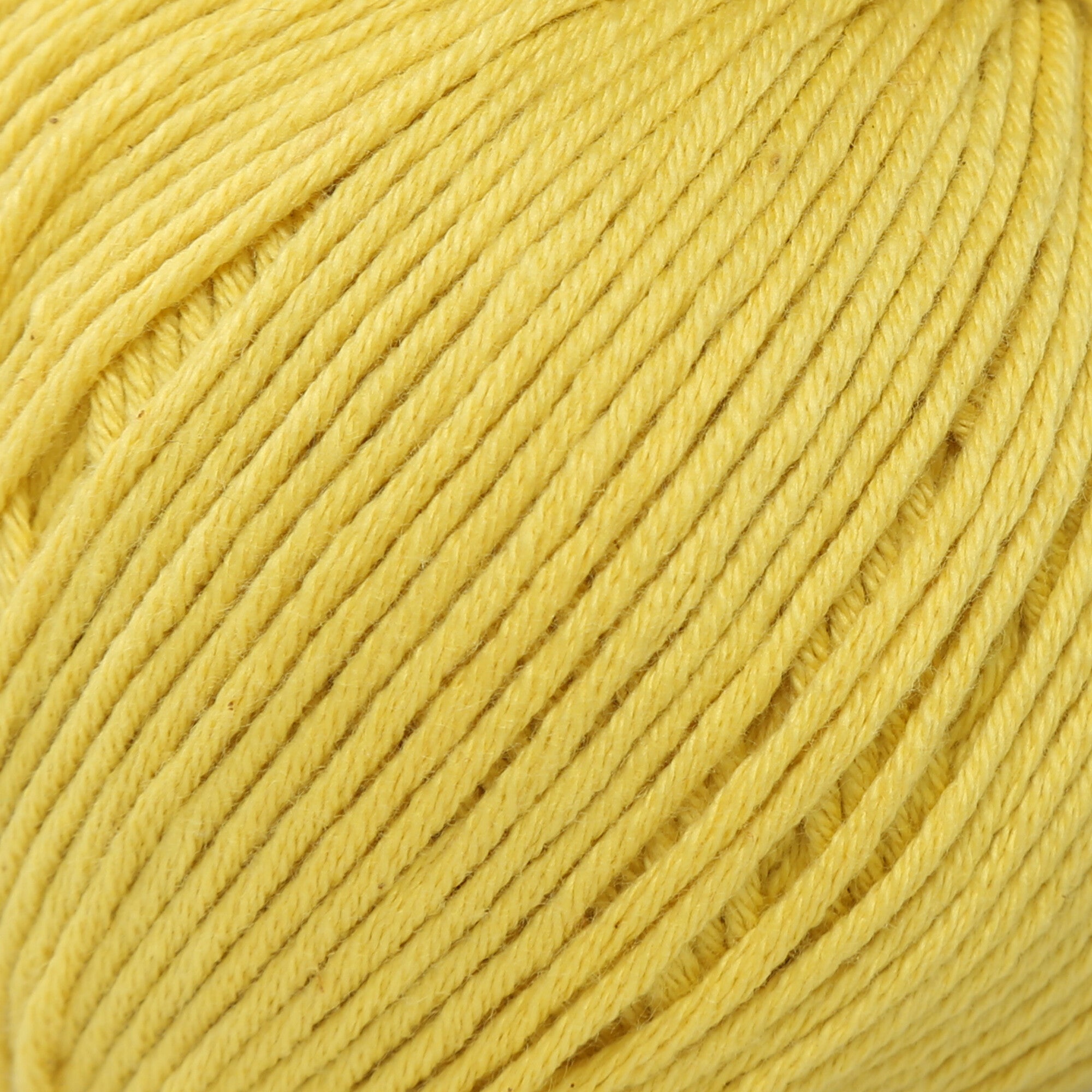 La Mia Cottony Baby Yarn, Mustard - L189