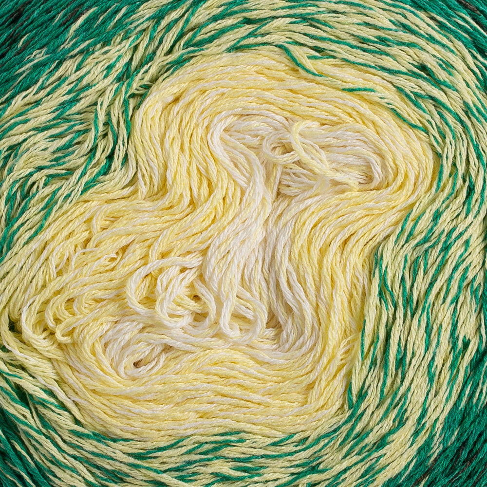 Etrofil Re-Public Yarn, Variegated - RJ024