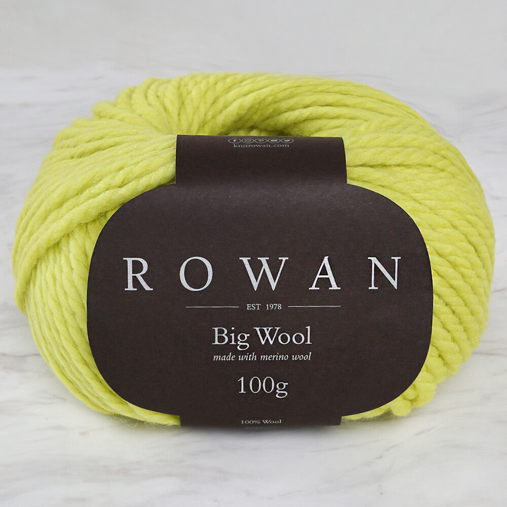 Rowan Big Wool Yarn, Green - 00091