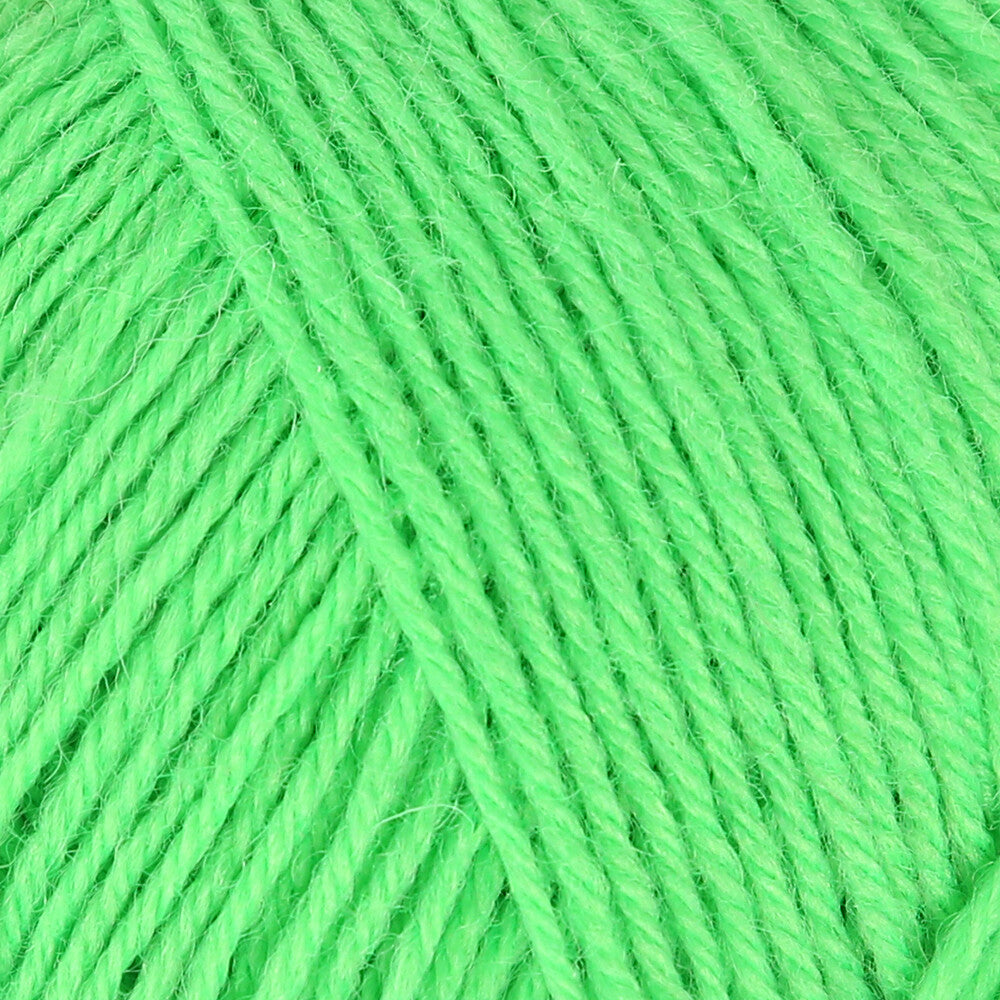 Schachenmayr Regia 4-PLY 50gr Sock Yarn, Green - 02091