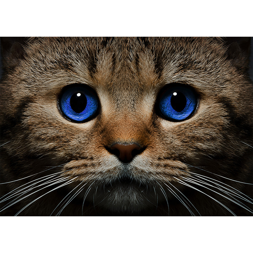 Collection D Art Blue-eyed Cat 38x27 Mosaic Kit - DE497