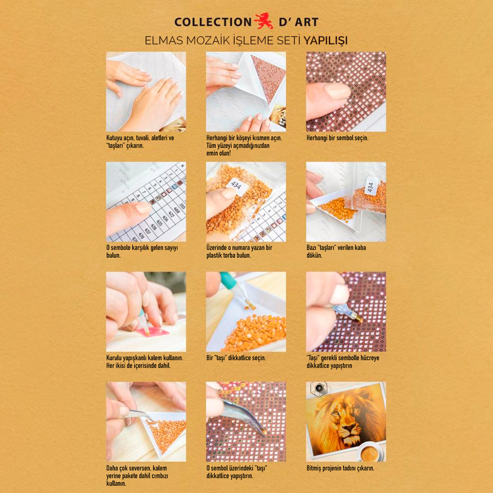 Collection D'Art Mosaic Kit - Flowers 48x38 - D7014