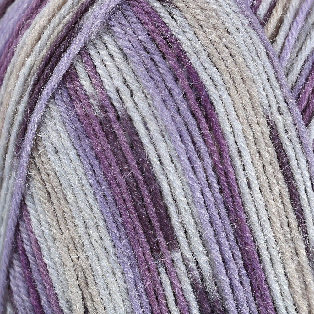 La Mia Woolly Socks Variegated Sock Yarn - L08