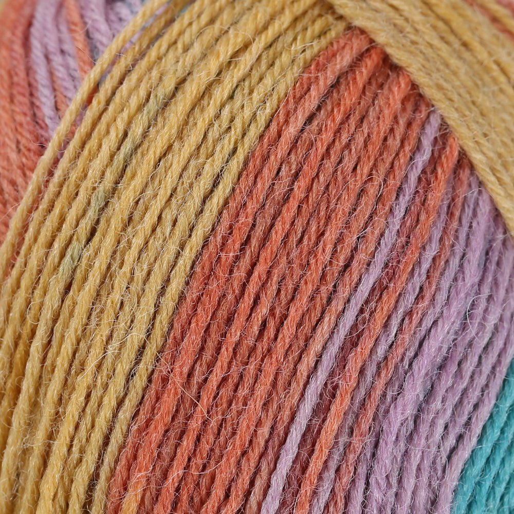 La Mia Woolly Socks Variegated Sock Yarn - L04