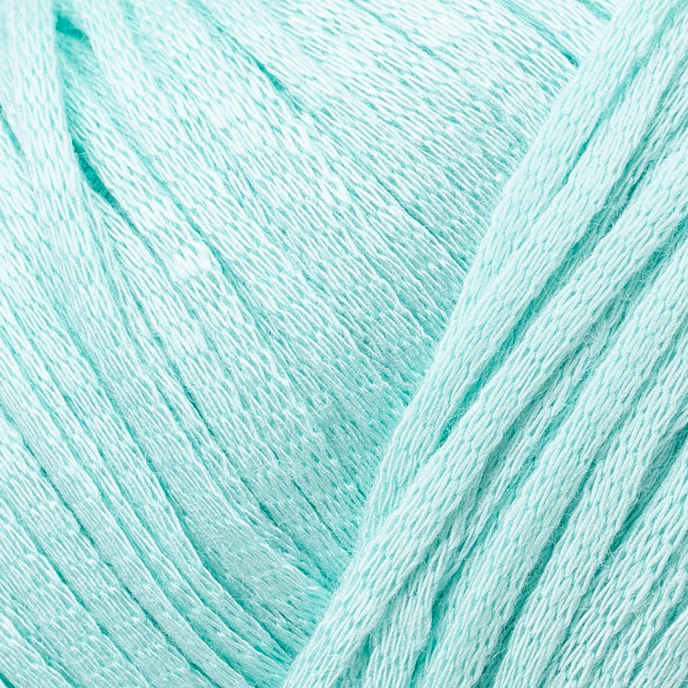 La Mia Fettucia  6 Skeins Yarn, Pastel Green - L072