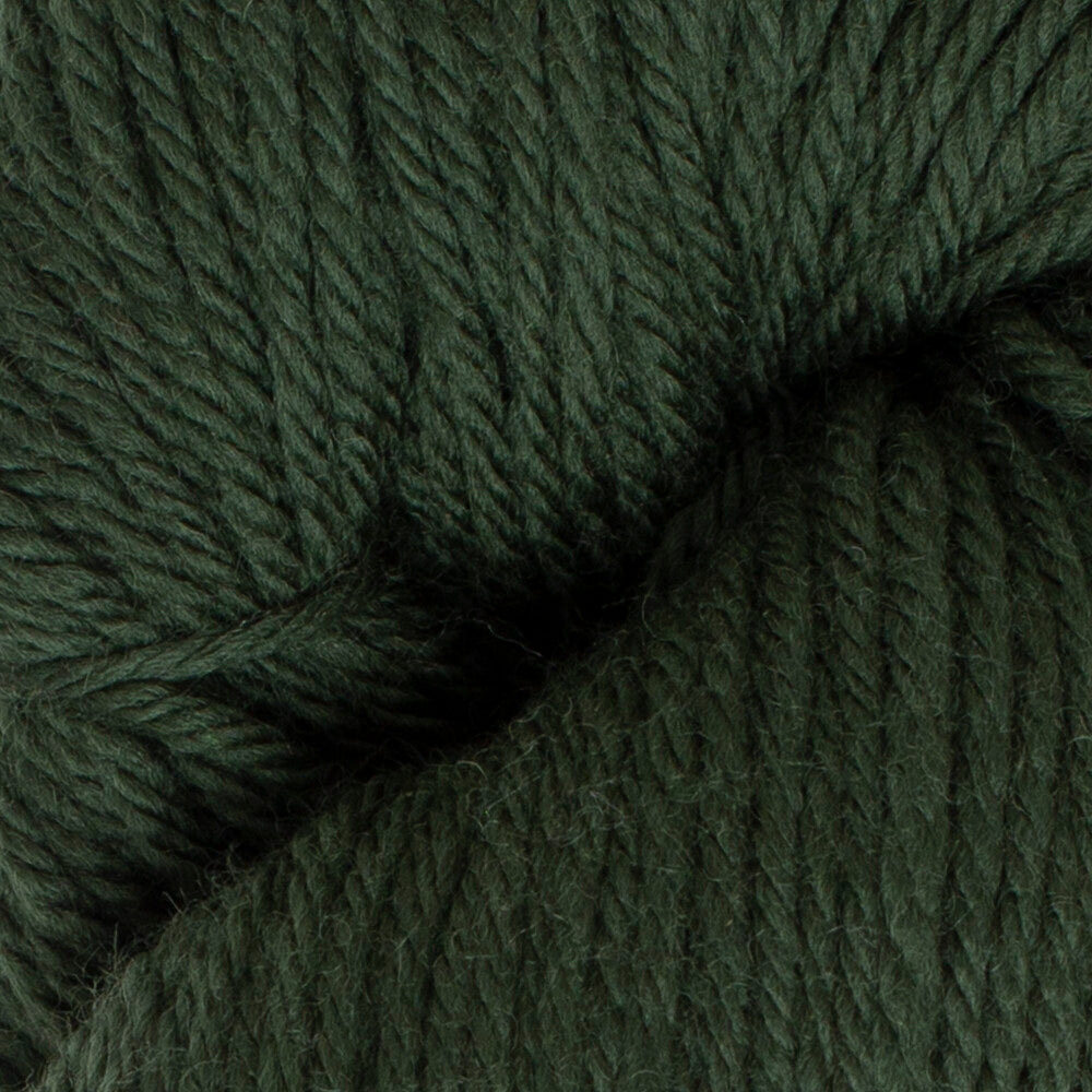 La Mia Natural Wool Knitting Yarn, Green - L801