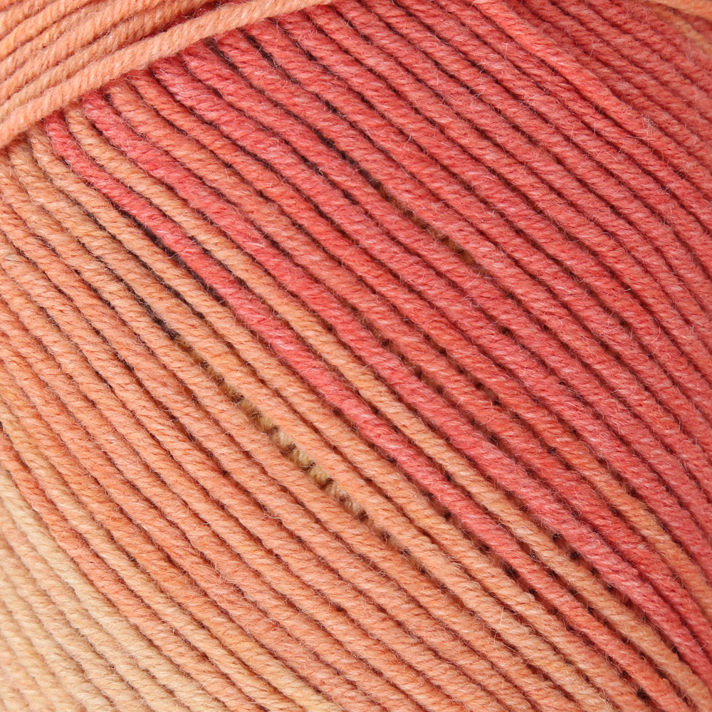 La Mia Tale Hand Knitting Yarn Variegated - LM126