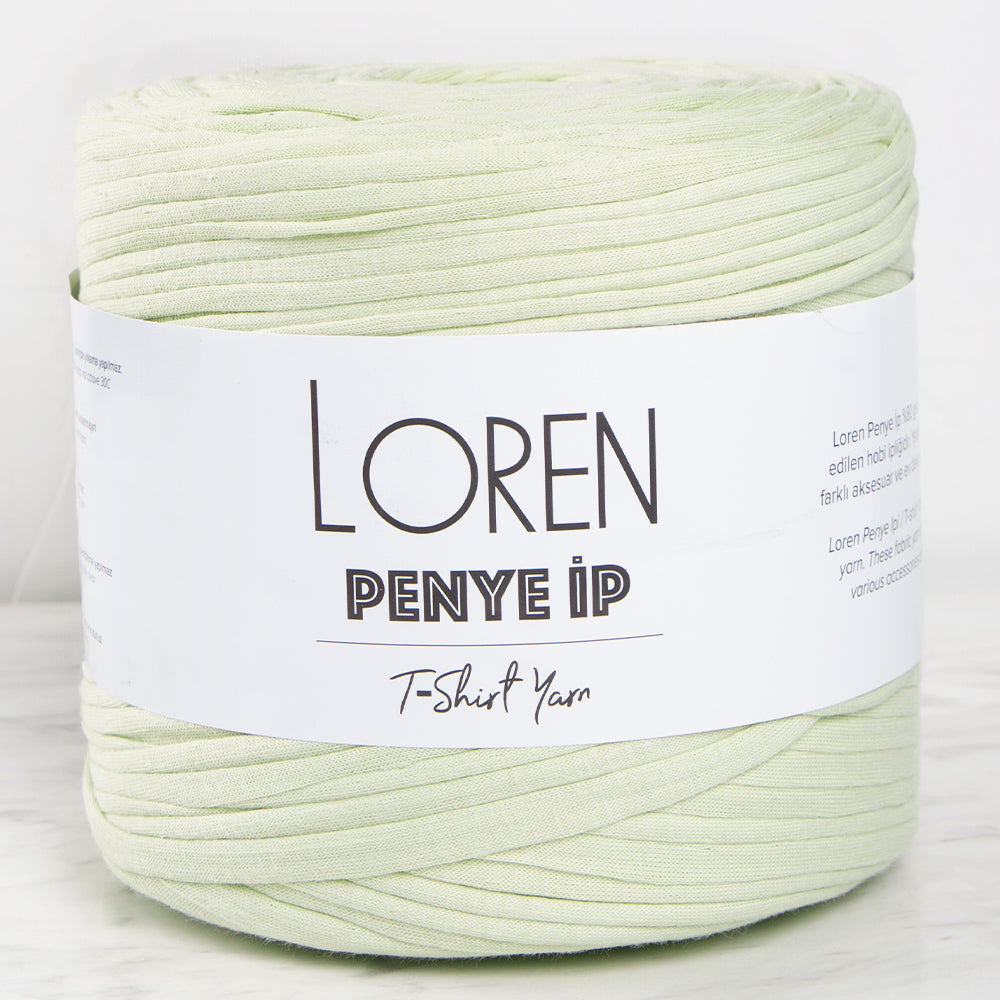 Loren T-shirt Yarn, Mint - 17