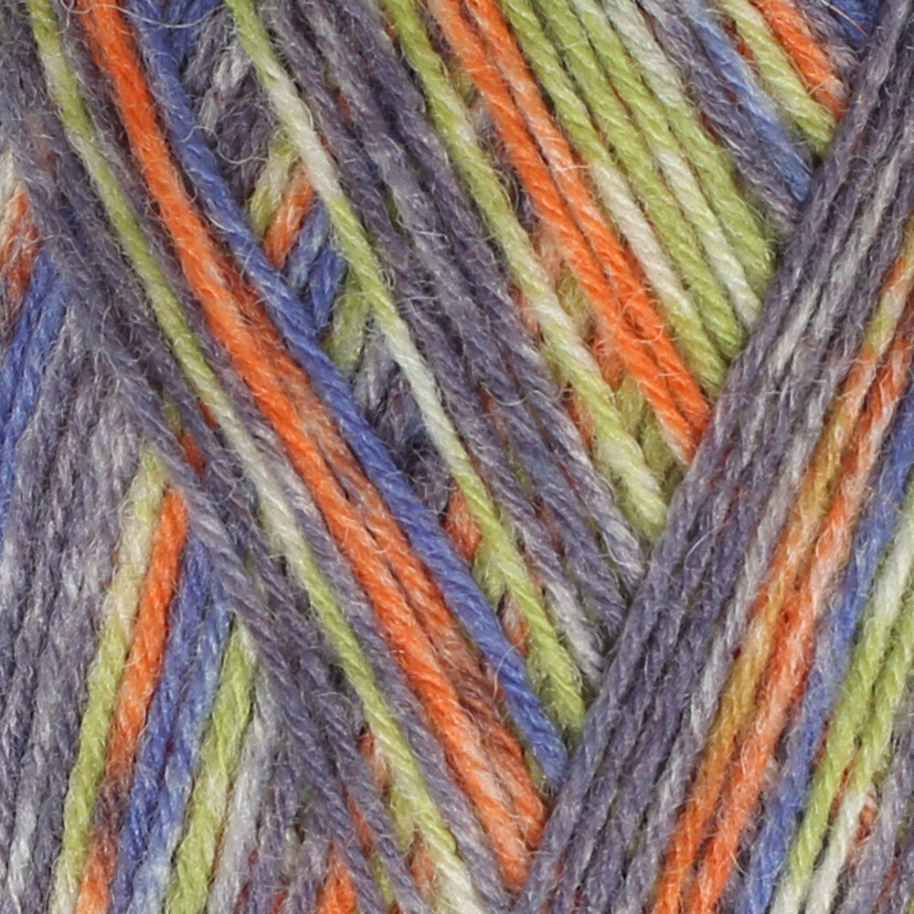 Himalaya Socks Yarn, Variegated - 160-04